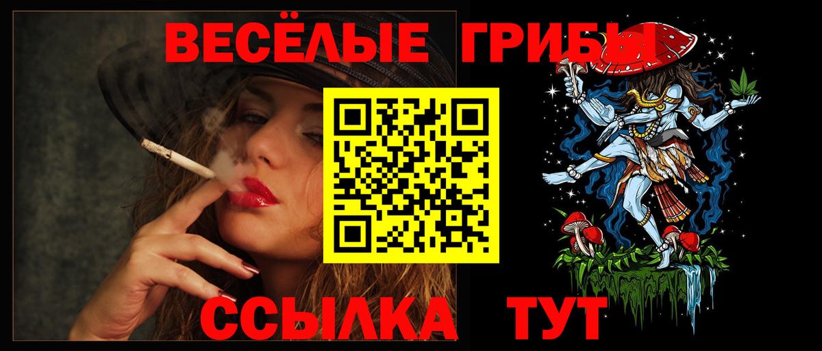 Галлюциногенные грибы Cubensis Ахтубинск